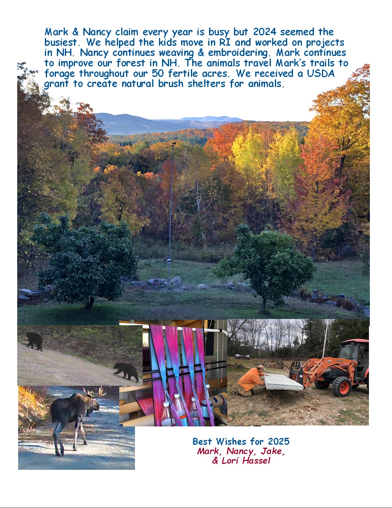 Xmas24Card3.jpg Christmas 2024